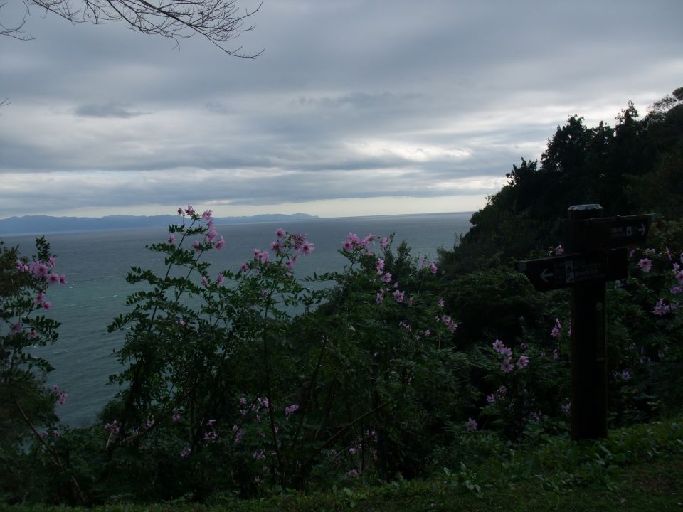 09