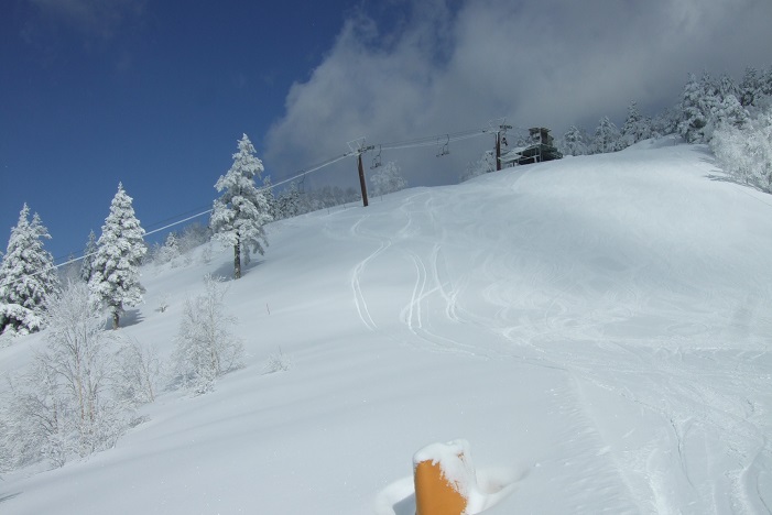 新雪に残したスキートレース