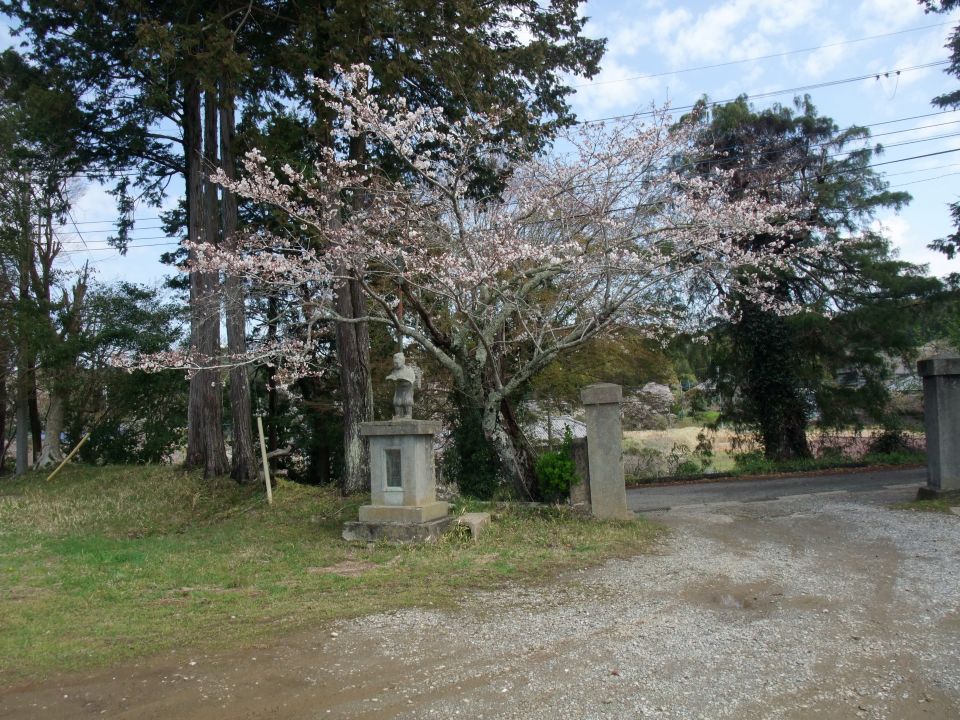 05