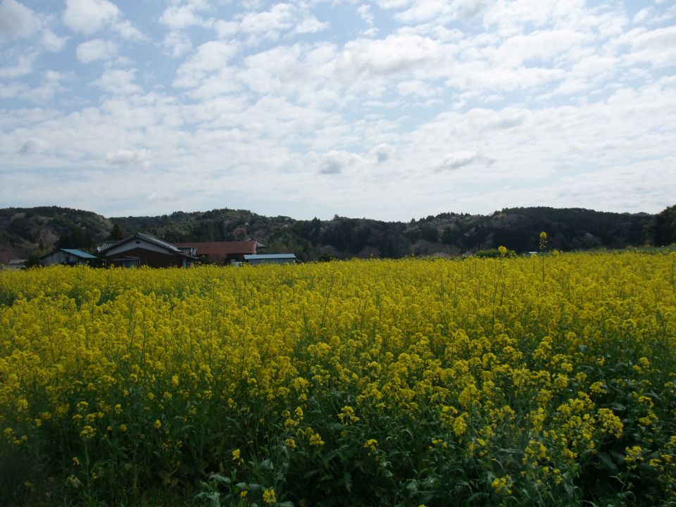 07