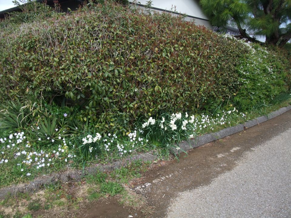 09
