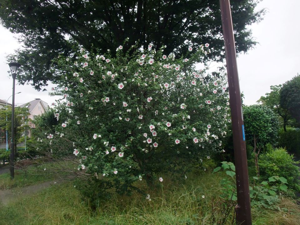 ����08