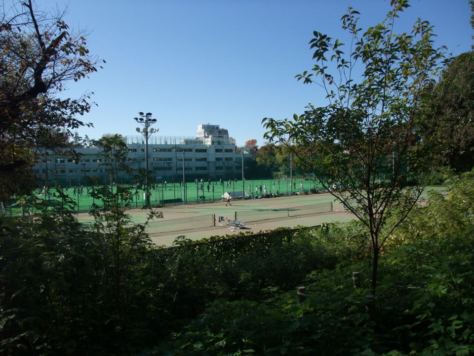 06