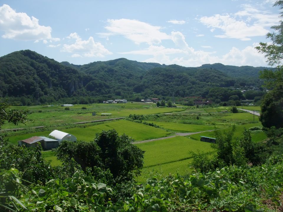 06