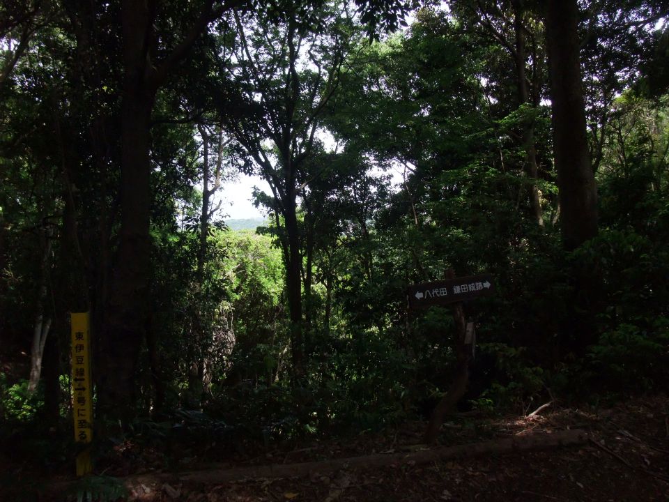 04