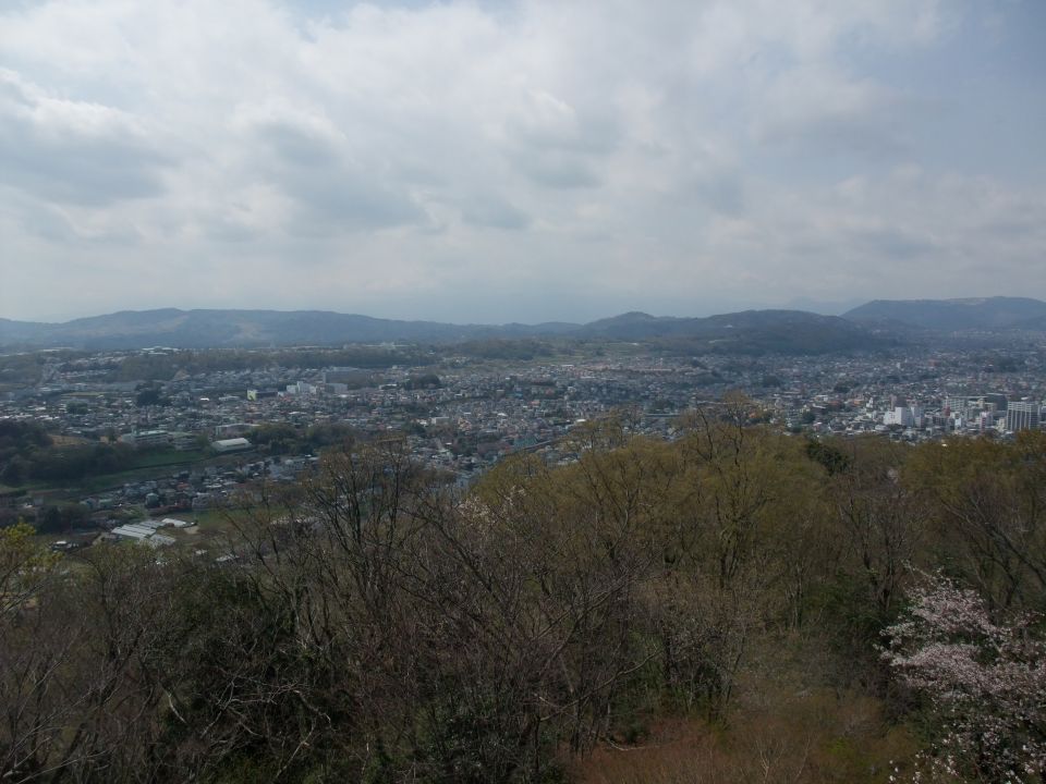 03