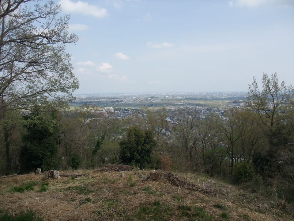 07