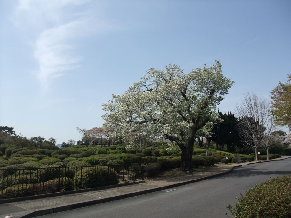 06