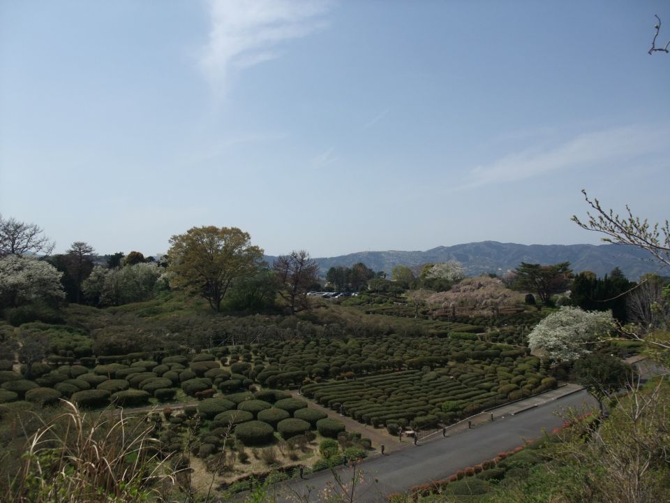 07