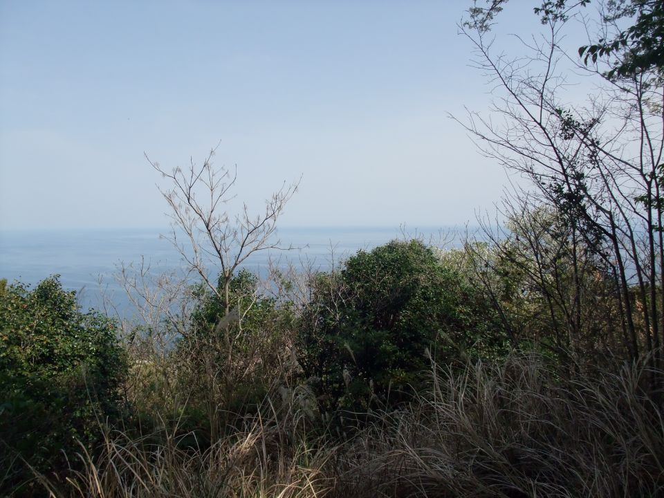 04