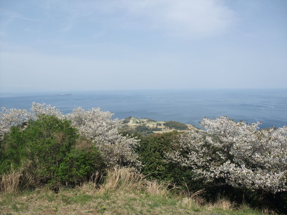 07