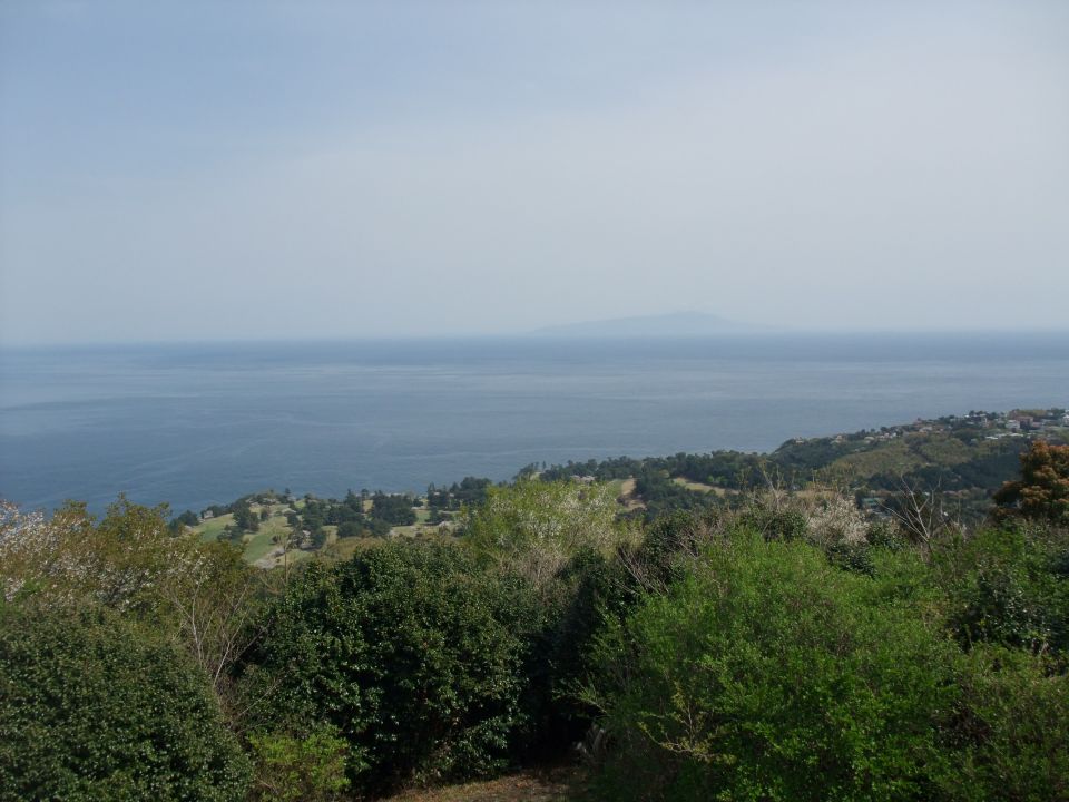 09