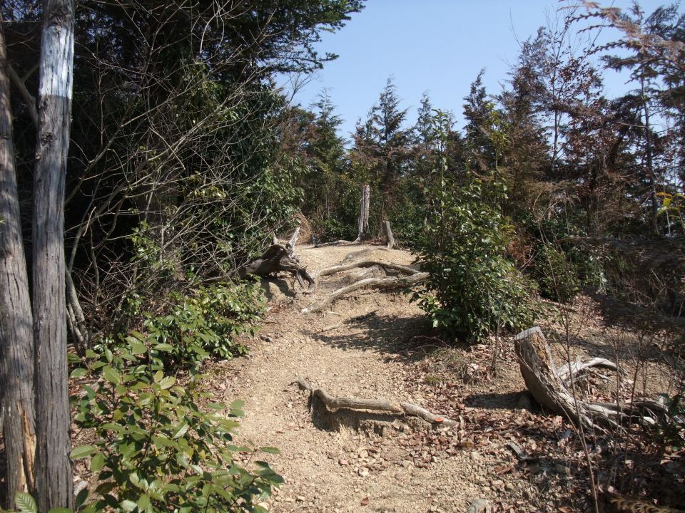 07