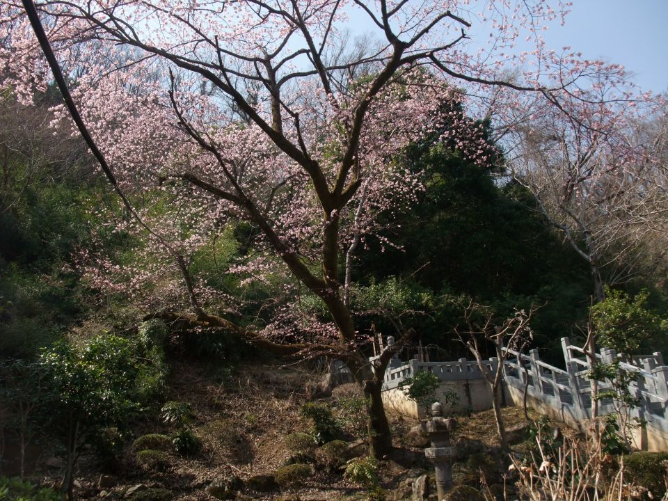 09